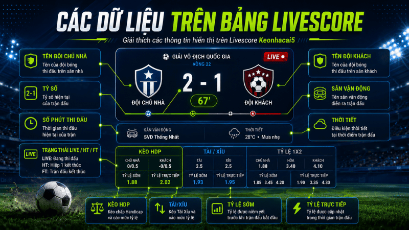 Các dữ liệu hiển thị trên bảng Livescore Keonhacai5