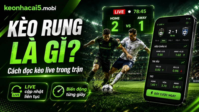 Kèo rung là gì và cách đọc kèo live trong trận