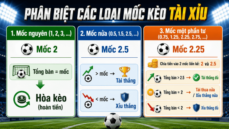 Phân biệt mốc nguyên mốc nửa và mốc một phần tư