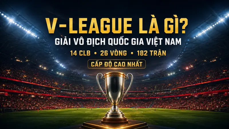 Tổng quan giải bóng đá V-League Việt Nam